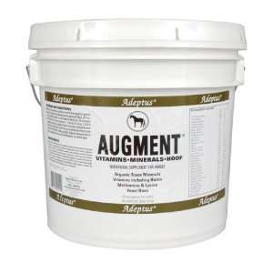  AUGMENT 20LB &