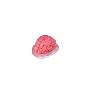  Brain Jello Mold