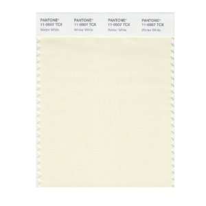   SMART 11 0507X Color Swatch Card, Winter White