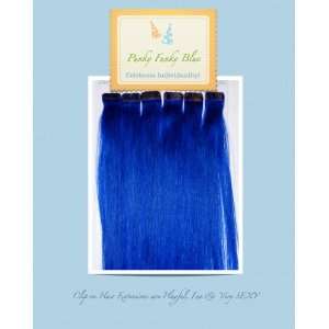  Blue Clip on Hair Extensions Beauty