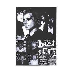 Bush Music Poster, 25 x 35.5 