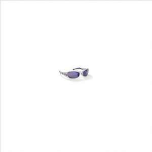 AEARO COMPANY 11641 00000 Eyewear Safety Glasses With Silver Frame 