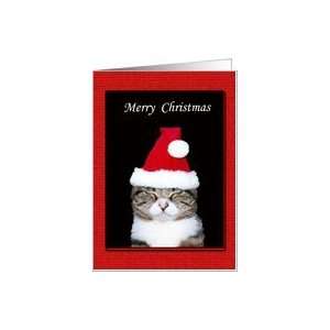 Funny Christmas Card, Cat in Santa Hat on black and red Card