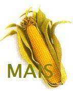 Materasso in Lattice 100% 80x200x18 cm Naturale al MAIS  
