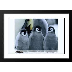  March of the Penguins 20x26 Framed and Double Matted Movie 