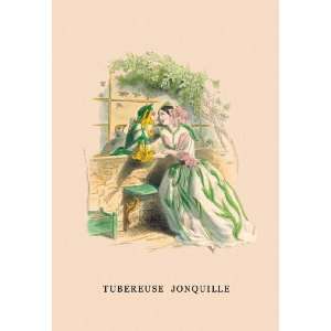  Tubereuse Jonquille 12x18 Giclee on canvas