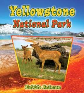   Yellowstone National Park For Kids, Preteens, And 
