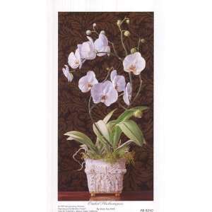   Orchid Phaleanopsis   Poster by Mary Kay Krell (5x9)
