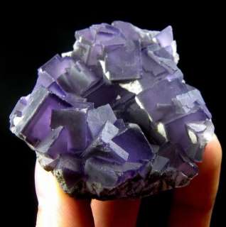 Purple Fluorite Cubic Crystal Cluster flyn9ie0117  