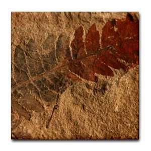  Fern Leaf Fossil Image Art Hobbies Tile Coaster by 