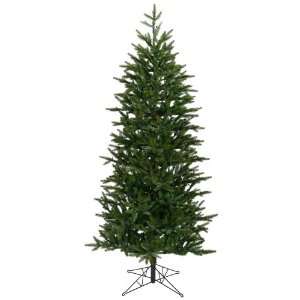  5.5 x 39 Holland Slm Frasier Tree 909T