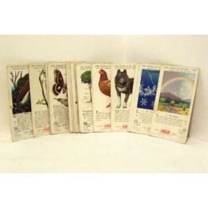  VINTAGE Coca Cola World of Nature Cards 