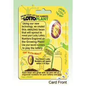   Your Own Lucky Lottery Numbers with The Lotto Plant 