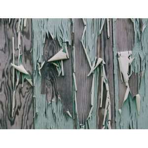  Paint Peels from the Walls of a Home Abandoned after a 