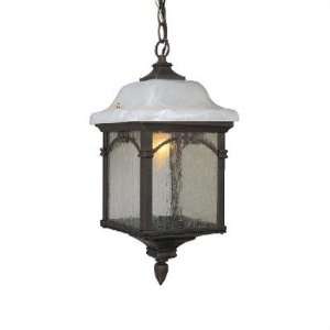  Sonoma Small Chain Pendant Finish Frosted Umber