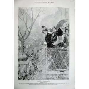  1899 Mardis Gras Paris France Ladies Women Carnival