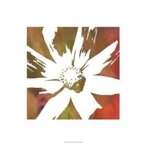    Peace Flowers I   Poster by James Burghardt (13x19)