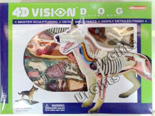   Puzzle Animal Anatomy Series 3D Model Canine Dog 29pcs NEW with a Box