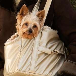 Designer Pet Carrier   Luxury Dog Tote   Gold Patent Leather   Made in 