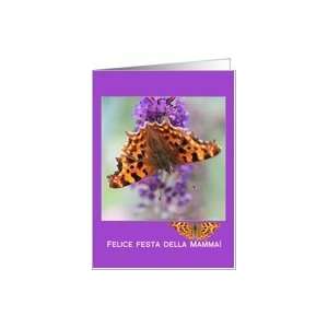  Italian Comma butterfly mothers Day card Card Health 