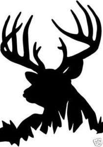 Whitetail Buck Deer Hunting Vinyl Decal / Sticker  