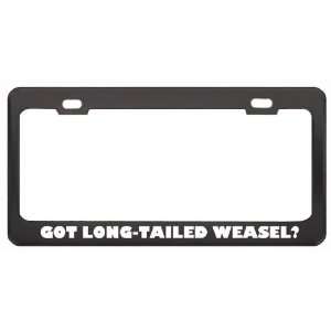 Got Long Tailed Weasel? Animals Pets Black Metal License Plate Frame 