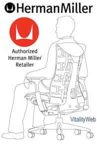 Herman Miller Embody Office Chair White Frame Titanium Base Black 