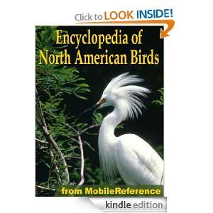 Of North American Birds An Essential Guide To Birds Of North America 