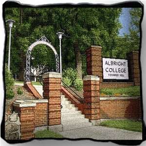  Albright College Collage Jacquard Woven Pillow   17 x 17 