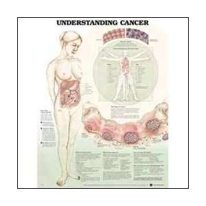  Understanding Cancer 20 X 26