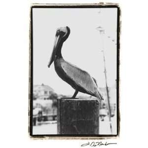    Pelican Perch   Poster by Laura Denardo (10x15)