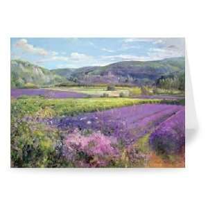 Lavender Fields in Old Provence (oil on   Greeting Card (Pack of 2 