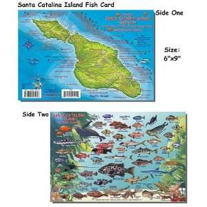  Santa Catalina Island Fish ID