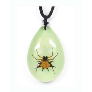 Real Insect Necklace Spiny Spider (Big/glow)