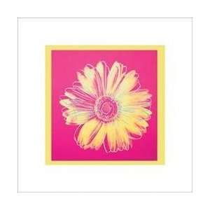  Warhol Daisy, Fuschia 20x20 Baby