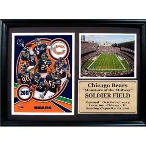  2011 Chicago Bears 12x18 Photo Stat Frame   Framed NFL 