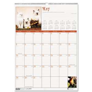  House of Doolittle 3661 Kittens Monthly Wall Calendar, 12 
