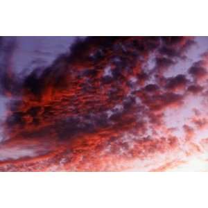  Purple Clouds, California Wall Mural