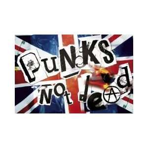  Music   Alternative Rock Posters Punks Not Dead   Flag 