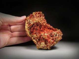 Crocoite, Adelaide Mine, Tasmania  