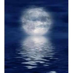   Wall Decals   Vollmond Am Wasser   Removable Graphic