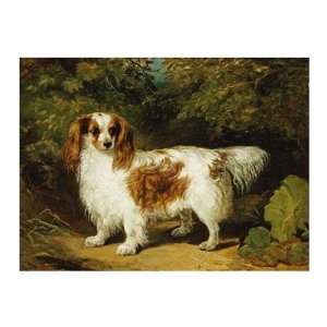  A Blenheim Cavalier King Charles Spaniel H. Willis. 20.00 