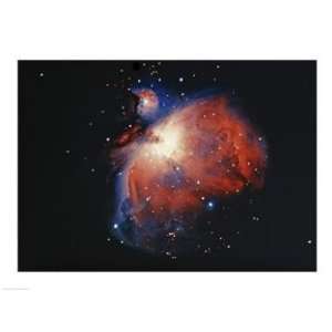   Superstock SAL2061529B Great Orion Nebula M 42  24 x 18  Poster Print