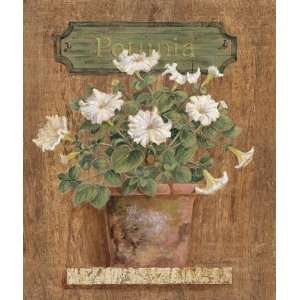  Gloria Eriksen   Petunia, Size 24 x 20 Canvas Finish 