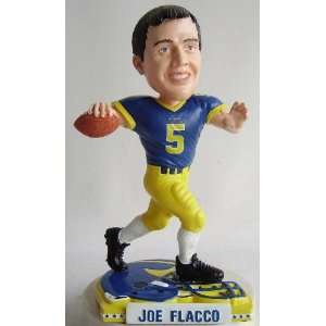  College Star Bobble   Joe Flacco #5