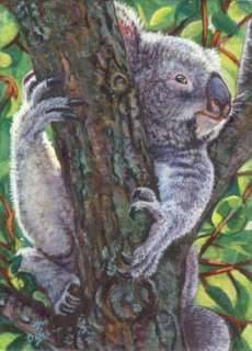Akiko L/E ACEO Print Koala Bear Wildlife Painting Art  