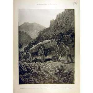    1900 Boer Wagon Plough Steep Hill Africa Old Print