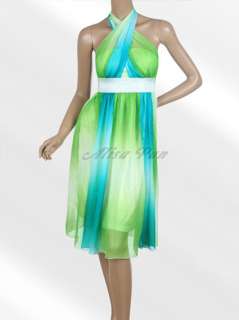 Alisa Pan New Summer Gorgeous Colorful Halter Cocktail Dress 03056 US 