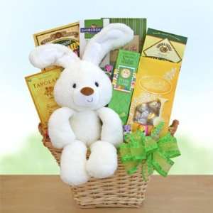  Huggable Hoppy Greetings Gift Basket 