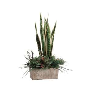   wx17l Sansevieria/Succulent in Pot Green Variegated